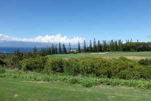 Kapalua (Plantation) 17th Ravine 2022